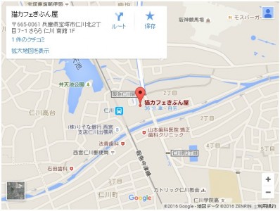 Cut2016_0417_0004_41