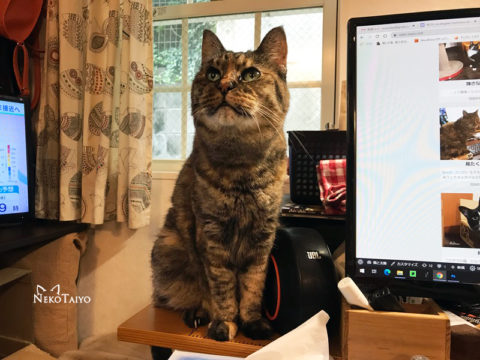 オーマイガッ