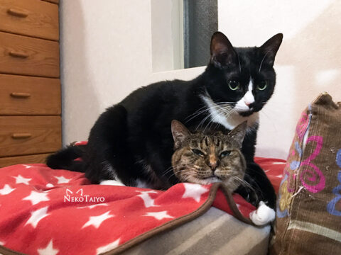 そしてまた