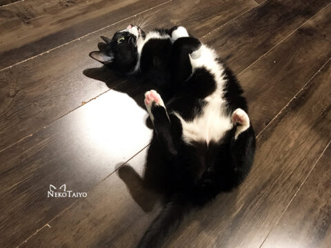 気分転換なのか