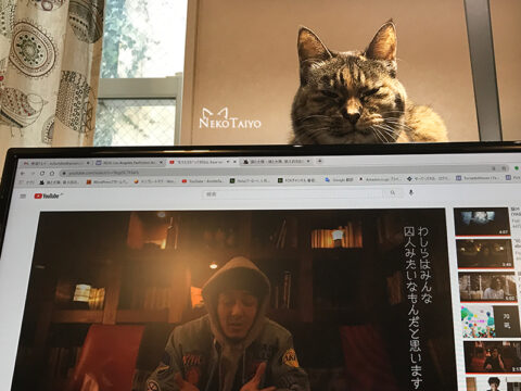 大事件勃発