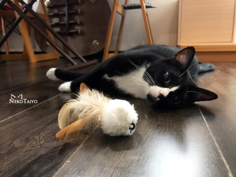 ちっちゃい頭の中で