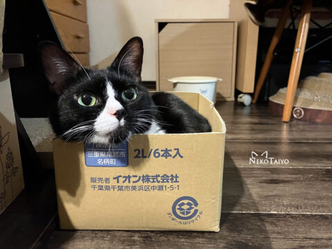 いまいち
