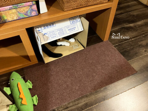 飛び出し注意