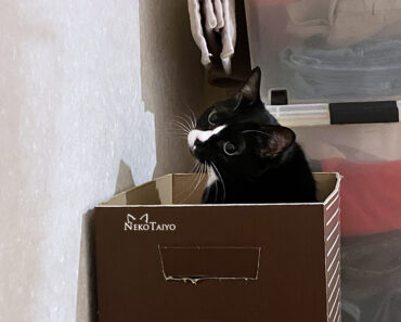 そっちじゃない