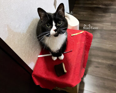 チェックポイント2