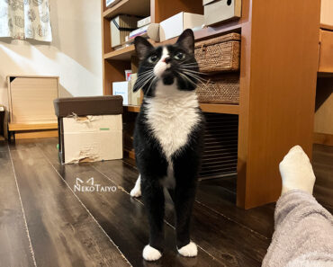 ながら