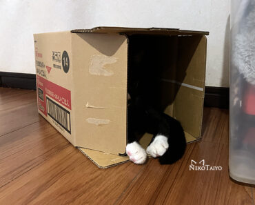 あんよ