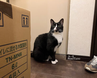 本日も