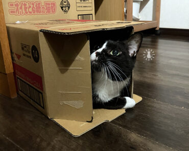 吸い込まれた