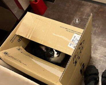 このあと